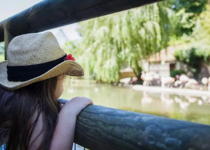 Camping Durrell Wildlife Camp