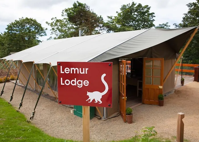 Durrell Wildlife Camp Camping